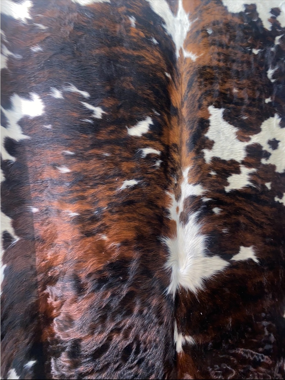 Cowhide rugs